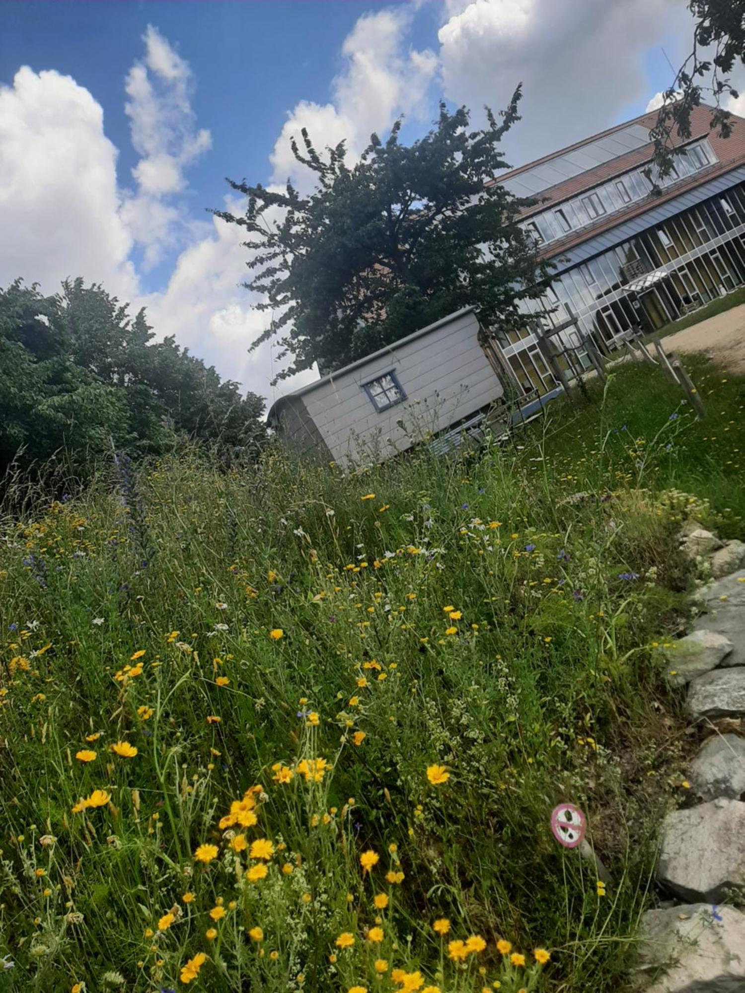 Saechsische Bildungs- Und Begegnungsstaette Windmuehle Seifhennersdorf Otel Dış mekan fotoğraf